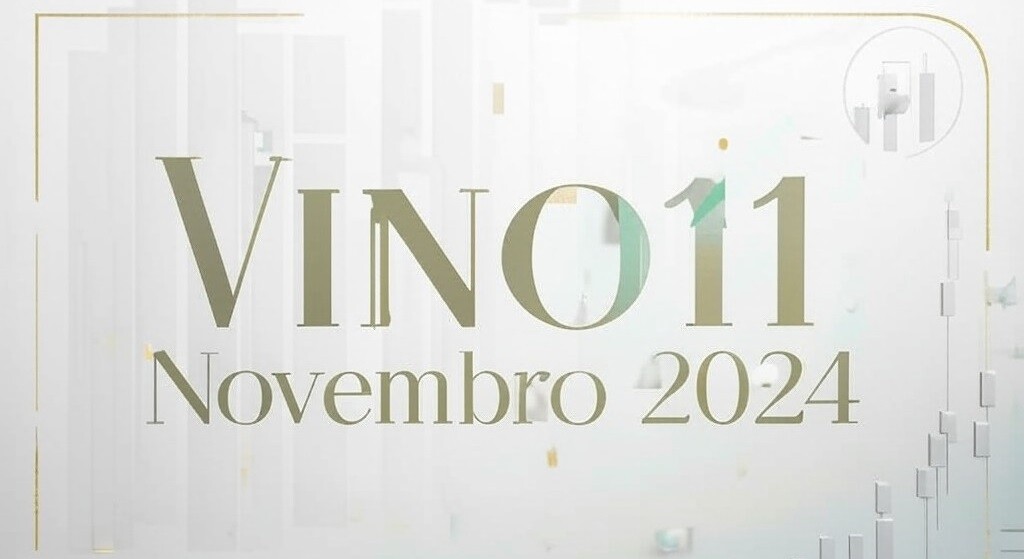 O que aconteceu com o VINO11 em Novembro de 2024